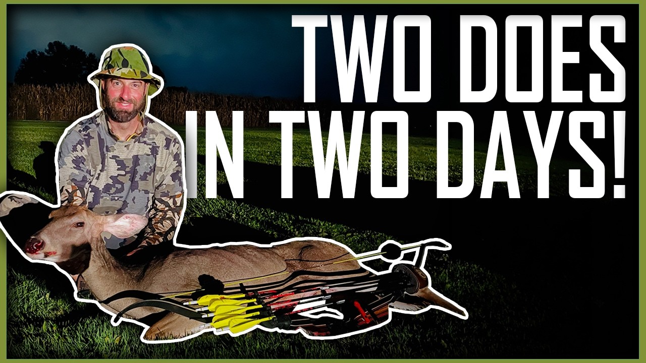 STANDING ON A TREE BRANCH | Traditional Bowhunting