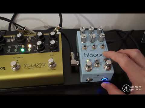 Chase Bliss Audio: BLOOPER in Scrambler / Trimmer modes (Strymon BigSky + Volante)