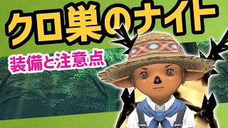 クロウラーの巣〔Ｓ〕範囲狩りのナイト装備や注意点【FF11配信切抜】