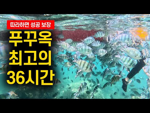 북곡에서 경험할 수 있는 최고의 36시간 완벽 가이드