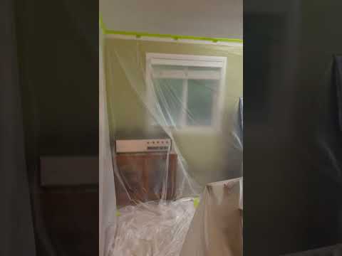 Frog clan painting group video.