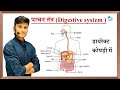 पाचन तंत्र || Digestive system in hindi || pachan tantra class 10th || by pankaj sir