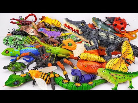 ZURU ROBO ALIVE COLLECTION | UNBOXING Robo Black Crocodile, RC Lizard, Butterfly Compilation |ASMR