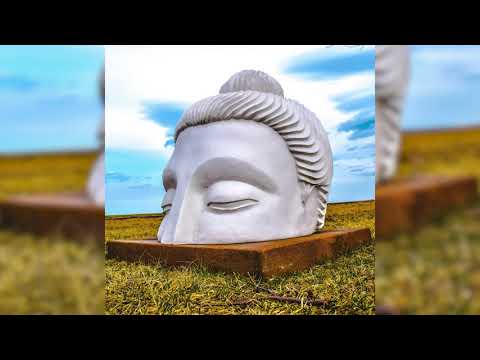 Joseph Goldstein – Insight Hour – Ep. 6 – Working with Doubt and Aversion