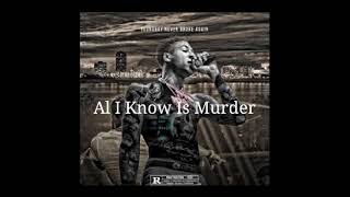 Youngboy Never Broke Again - Al I Know is Murder (Official Audio)