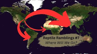Reptile Ramblings #7: Where Will We Go?