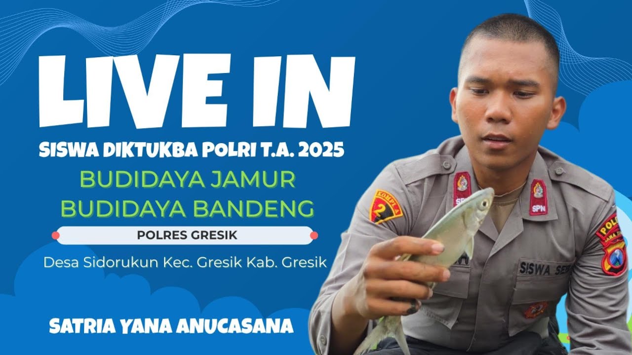 (VIDEO) Edukasi Budidaya Bandeng-Jamur dan Bakti Sosial, Kisah 'Live In' Siswa Diktukba SPN Polda Jatim di Gresik