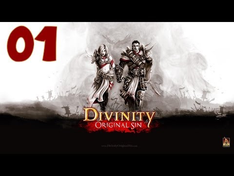 divinity original sin pc test