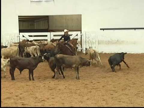 Sioux Me Mama - 2015 SRCHA Rode to Reno herd work