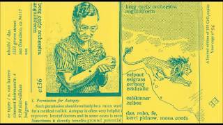 Beeg Ceety Orcheestra - Eelskinner