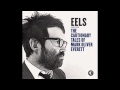 EELS - On The Ropes (LIVE WNYC) - (audio stream)