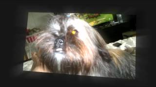 Delilah love you so Joe Goddard remix