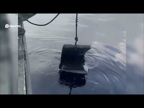 Resgate real emocionante de onça no Rio Negro: parte 2