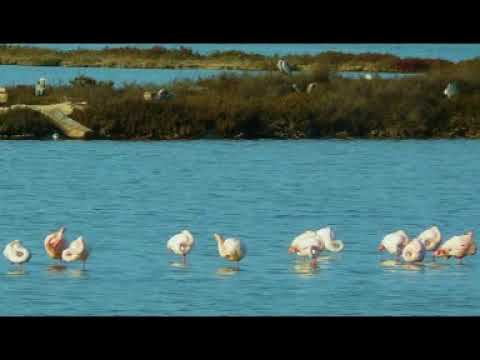 UN ANGELO BLU  * EQUIPE 84