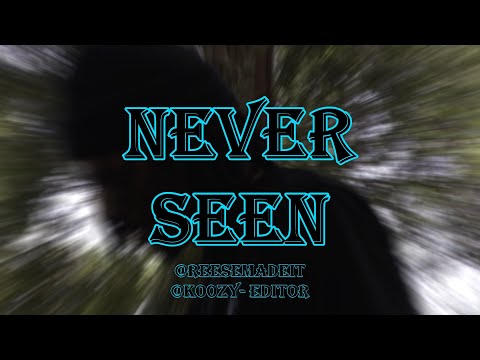 Never Seen(Reesemadeit & Ko0zy)