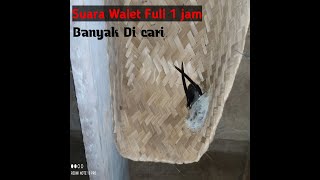 Download lagu Suara Walet Full 1 Jam || th 2020 Sampai 1 juta view mp3