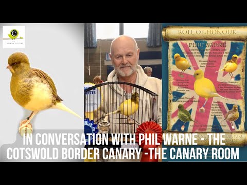 Phil Warne The Cotswold Border Canary Line in conversation - A Canary Room Special