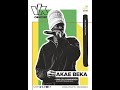 Akae Beka (the voice of Midnite) - Meditation (Babylon Fruits) @ VK Brussel 2018