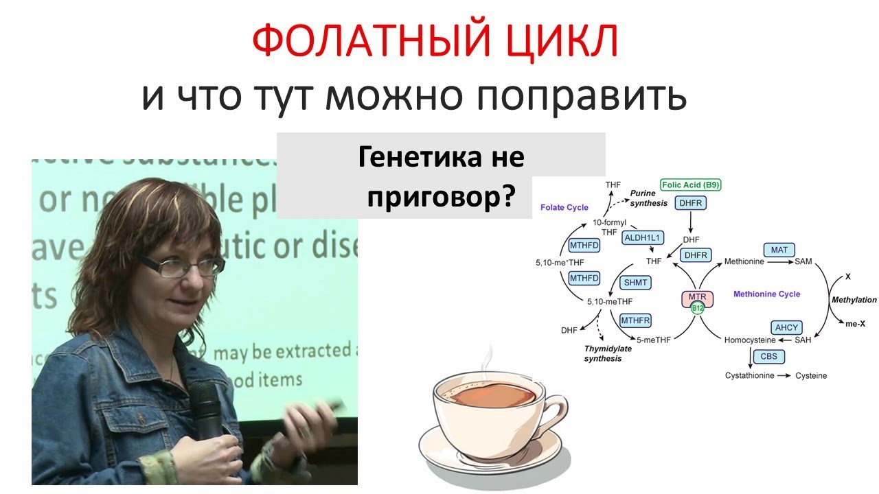 фолатный цикл и его генетика :-)