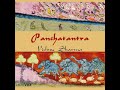 Panchatantra by Vishnu Sharma read by dc Part 1/2 | Full Audio Book
