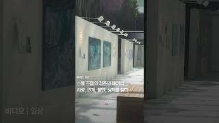 스물 즈음의 청춘의 메아리 사랑, 관계, 불안, 상...