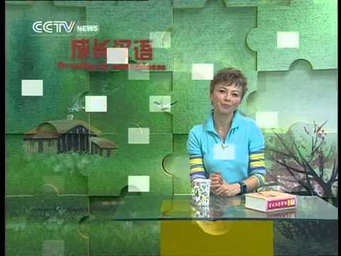 Growing Up with Chinese Lesson 39 Nan Luo Gu Xiang Street