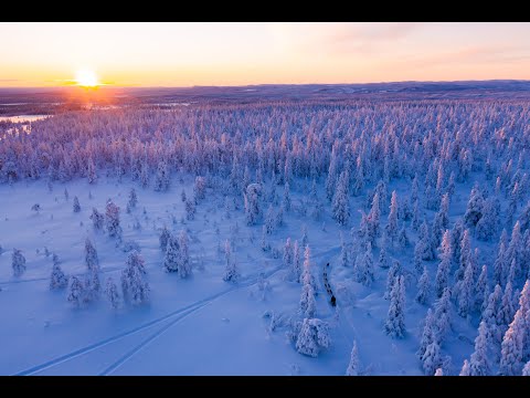Visit Orsa - Malin Sundin Grindal, mångfaldig VM-medaljör från Orsa