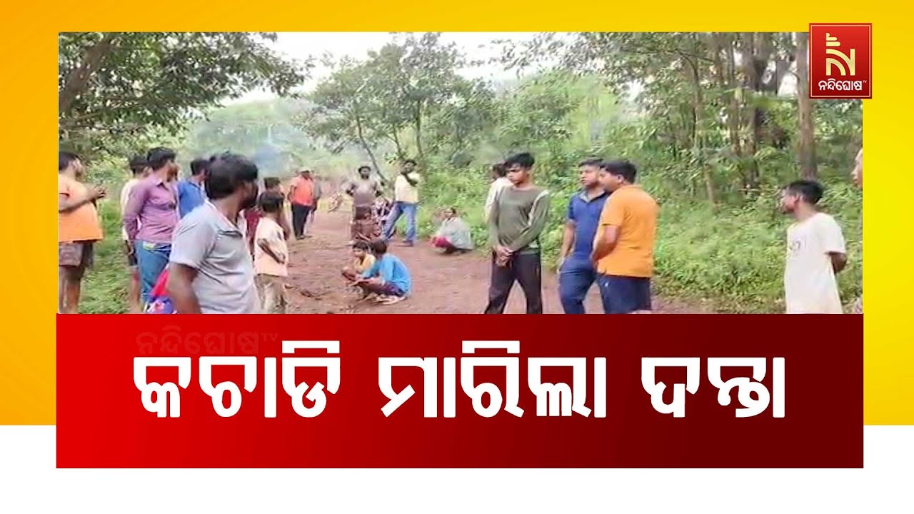 ଘରୁ ଟାଣି ଆଣି କଚାଡି ମାରିଲା ଦନ୍ତା , ଗିରୱାଲ ହଟିଙ୍ଗରେ ଦନ୍?