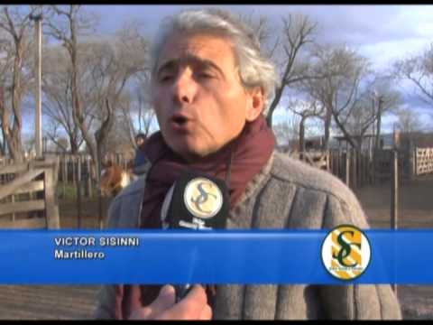 VICTOR SISINNI - Hourcade Albelo y Cía. S.C.C. - Rauch - 23/08/2013