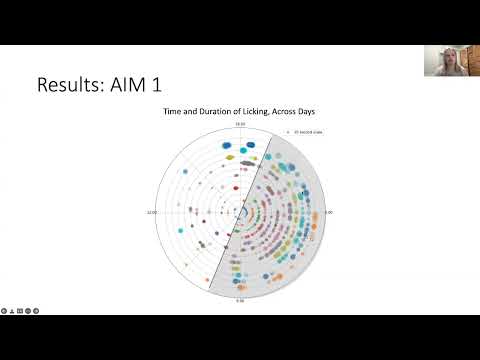 <p>Visual Coding in Freely-Behaving Environments</p>