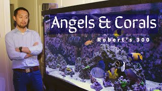 Robert&#39;s 300-Gallon Angels &amp; Corals Aquarium