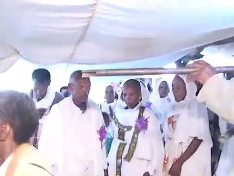 Eritrean traditional music tigrigna wedding