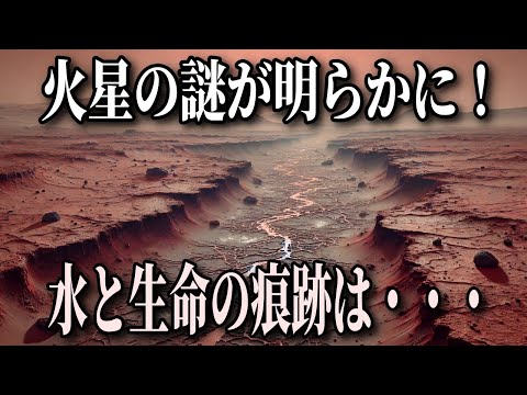 生命を求めて: 忍耐力が画期的な火星発見をもたらした可能性がある