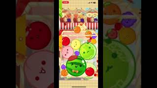 角柿大未遂😭🥺#suikagame #ゲーム #ゲーム実況 #スイカゲーム #スイカゲーム実況 #スイカゲーム攻略 #games