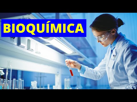 ¿Qué es la BIOQUÍMICA y qué estudia? Ramas, importancia y ejemplos