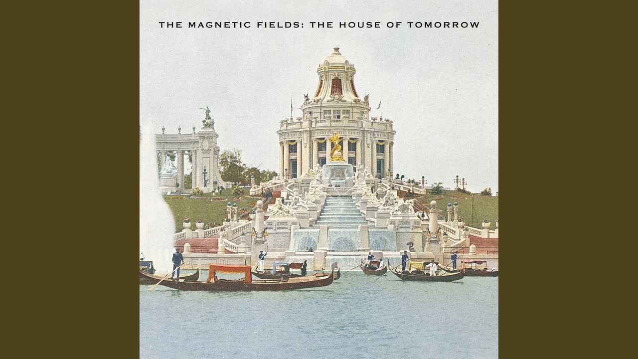 Magnetic Fields - Technical (You're So)
