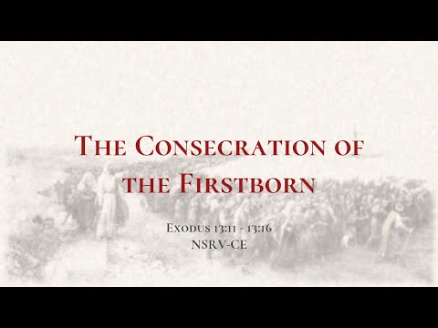 The Consecration of the Firstborn - Holy Bible, Exodus 13:11-13:16