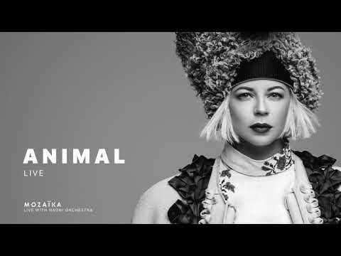 ONUKA - ANIMAL (feat. NAONI Orchestra) [Live]