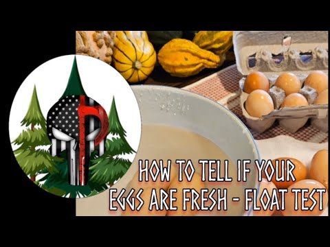 How To Tell If Your Eggs Are Fresh - Float Test #gardeninghomesteadingskills #egg #fresh