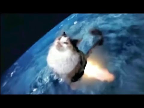 1 Minute of Flying Cats (part. 2)