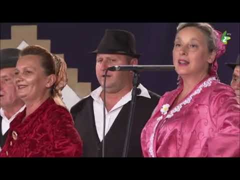 DZIVČE, DZIVČE, BILA RUŽA - Mišana grupa KPD "Karpati", Verbas