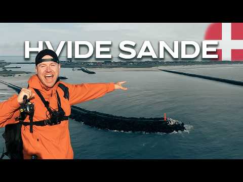 Fishing in Hvide Sande 🇩🇰 Surprise catch in the North Sea!
