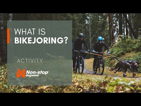 What is bikejoring? Guide to biking with your dog!
