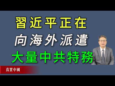 習近平正在向海外派遣大量中共特務，統戰、宣傳、科技、情報、軍事人員多管齊下。《真實中國》