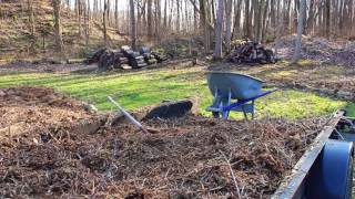 What a difference a day makes