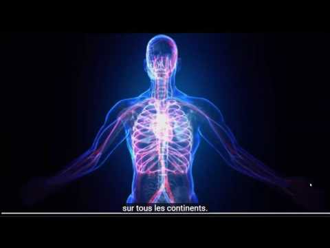 2017 05 04 PM Public Teaching in French - Enseignements publics en français