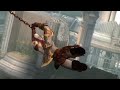Kratos The Gods Of Olympus Have Abandoned Me Now There Is
