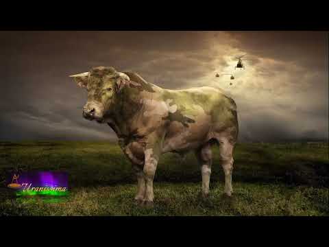 Horoscop Urania - Emisiunea Uranissima - Zodia Taur 16-22 iulie 2018