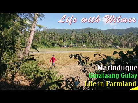 Fruits of Farmland Backyard  Meal • Fresh  Mix Vegetables  with Coconut Milk • Farm to Dining