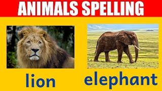 African Animal Names - Learn Spelling and Pronunciation in English